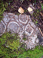 Kugeldiorit in Slttemossa
