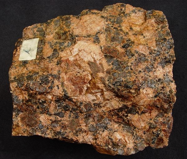 Probe von Norrharu, F.Mende legit.