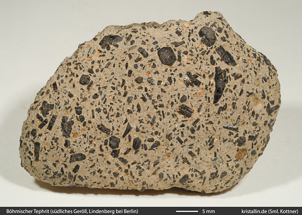 Pyroxene in einem Tephrit