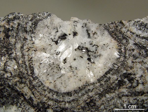 orbicular rock, Virvik, Finland