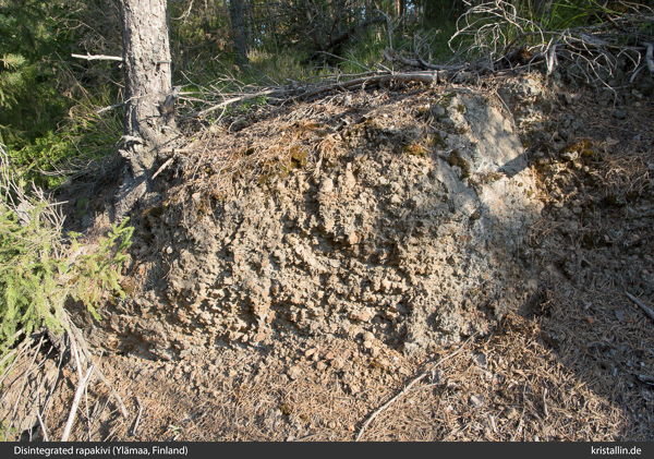 Disintegrated rapakivi in situ