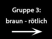 Gruppe_3
