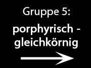 Gruppe_5