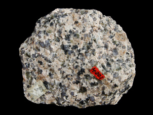 Gleichkörniger Lellainen-Granit aus dem Laitila-Pluton - Probe von Fritz Mende