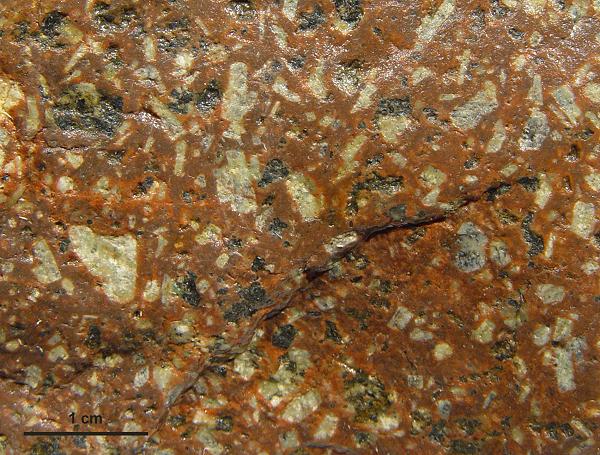 Ausschnitt Geschiebe von der Ostsee