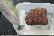 Wasseroberfläche mit Zeitungspapier reinigen