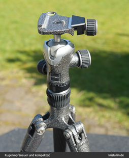 Kugelkopf auf dem Gitzo-Stativ