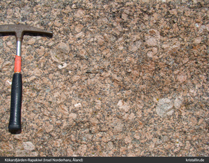 Bild aus dem Originalvorkommen