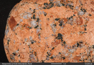 Bild aus dem Originalvorkommen