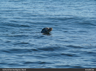 Die wirklichen Eigent&uuml;mer