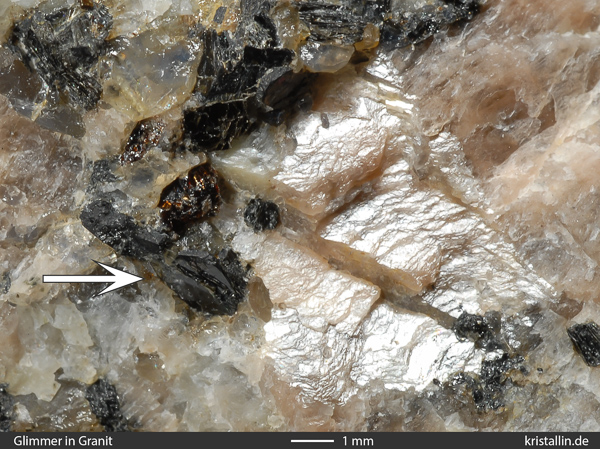 Biotit, Dunkelglimmer in einem Granit