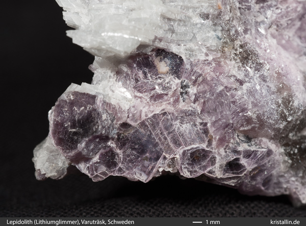 Lepidolith, violetter Lithiumglimmer
