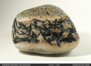 metamorphe Amphibole