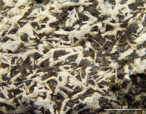 ophitisches Gef�ge